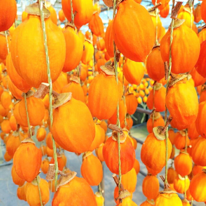 島根県益田市の画像3