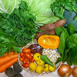 清流高津川の水で育てた旬の野菜(3回)