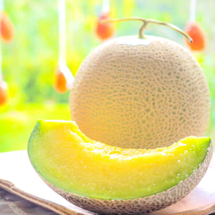 【ふるさと納税】〈先行予約〉 アールスメロン 2玉 夏作 糖度14度以上 メロン 高級 青肉 贅沢 ご褒美 フルーツ 果物 くだもの アールス ギフト 贈答 贈り物 プレゼント お歳暮