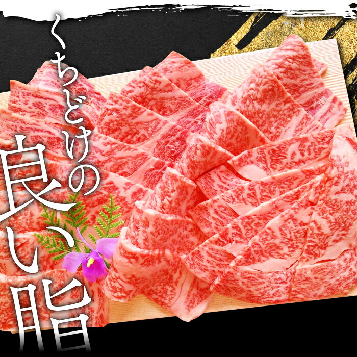 【ふるさと納税】 松永和牛 A5ランク 焼肉用 リブロース 500g 肉 牛肉 黒毛和牛 ブランド牛 リブロース 特産品 お取り寄せ グルメ お祝い ご褒美 贅沢 特別な日 ご馳走 焼肉 パーティー セット 松永牧場 A5