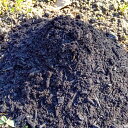 4位! 口コミ数「0件」評価「0」 天然素材 土壌用 粉炭 30L 土壌改良 環境保全 庭菜園 ガーデニング