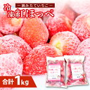 【ふるさと納税】 冷凍いちご 500g×2袋 果物 フルーツ