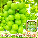 【ふるさと納税】〈先行予約〉 シャインマスカット 6〜12房 5kg 皮ごと食べられる 果物 フルーツ ぶどう ブドウ マスカット 新鮮 甘い 大粒 大きい 季...