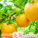 【ふるさと納税】 先行予約 季節限定 赤梨 5kg 10玉~16玉位 なし 幸水梨 豊水梨 新高梨 新興梨 期間限定 梨 果物 フルーツ くだもの ギフト 贈答 お土産