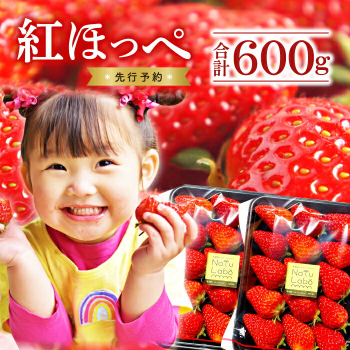 【ふるさと納税】 紅ほっぺ 300g 2パック いちご 苺 