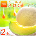 【ふるさと納税】 アールスメロン 2玉 秋作 糖度14度以上 季節限定 期間限定 メロン フルーツ 果物 くだもの 青肉 高級 ご褒美 贅沢 ギフト 贈答 贈り物