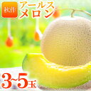 【ふるさと納税】 アールスメロン 3〜5玉 計8kg 秋作 糖度14度以上 季節限定 期間限定 メロン フルーツ 果物 くだもの 青肉 高級 ご褒美 贅沢 ギフ...