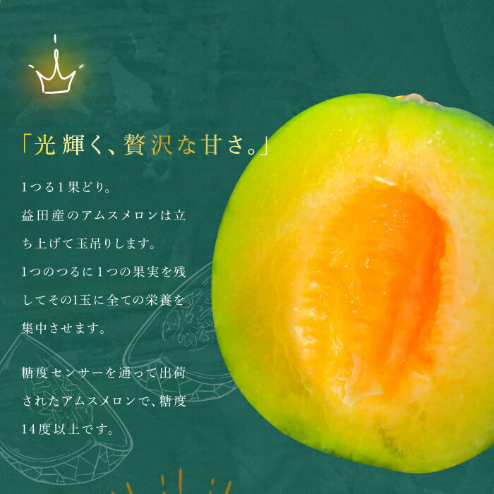 【ふるさと納税】〈先行予約〉 アムスメロン 3玉〜5玉 メロン 季節限定 期間限定 数量限定 果物 フルーツ くだもの お土産 プレゼント 贈り物 アムス 食後 デザート ご褒美 贅沢 青肉
