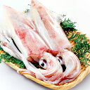 【ふるさと納税】 日本海 新鮮 イカ 500g 魚貝類 魚介...