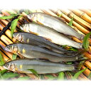 【ふるさと納税】 天然あゆ 650g 魚介類 魚 アユ...