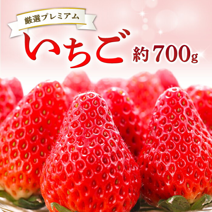 7位! 口コミ数「0件」評価「0」 先行予約 いちご 350g×2パック 果物 フルーツ 苺 厳選 プレミアム 甘い やみつき 期間限定 季節限定 早期予約 2025年1月〜･･･ 