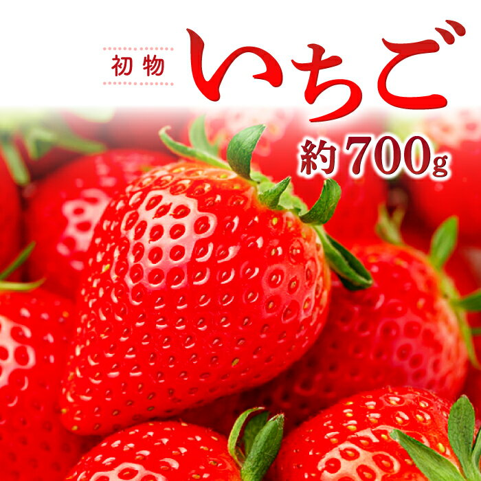 3位! 口コミ数「0件」評価「0」 先行予約 初物いちご 350g×2パック 果物 フルーツ 苺 新鮮 ジューシー 期間限定 季節限定 早期予約 12月発送 冷蔵 特産品 お･･･ 