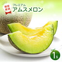 【ふるさと納税】〈先行予約〉 アムスメロン 糖度厳選 プレミアム 1玉 メロン 果物 くだもの フルーツ 季節限定 期間限定 早期予約 糖度16度以上