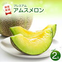 【ふるさと納税】〈先行予約〉 糖度厳選 プレミアム アムスメロン 2玉 メロン 果物 くだもの フルーツ 季節限定 期間限定 早期予約 糖度16度以上 ギフト ...
