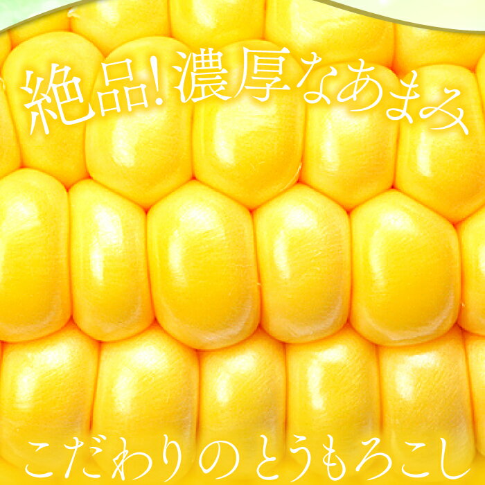 【ふるさと納税】 先行予約 夏作 朝採れ とうもろこし 10本 早期予約 期間限定 季節限定 お土産 野菜 夏野菜 夏 トウモロコシ バーベキュー スープ やさい