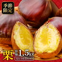 【ふるさと納税】 先行予約 里山の栗 栗 くり 1.5kg 季節限定 期間限定 フルーツ 果物 早期予約 モンブラン 焼き栗 秋 栗ご飯 茹で栗 おやつ 和菓子...