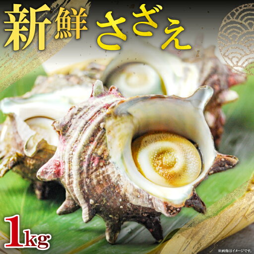 【ふるさと納税】 新鮮 さざえ 1kg 魚介類 魚貝類 貝類 サザエ 日本海 山陰沖 佃煮 つぼ焼き おつまみ 冷蔵 特産品 お取り寄せ グルメ 【ふるさと納税】 新鮮 さざえ 1kg 魚介類 魚貝類 貝類 サザエ 日本海 山陰沖 佃煮 つぼ焼き おつまみ 冷蔵 特産品 お取り寄せ グルメ