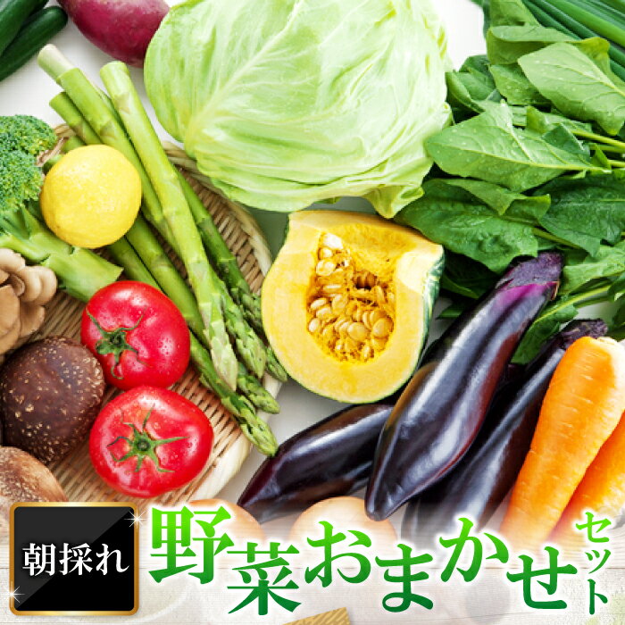 楽天島根県益田市【ふるさと納税】 朝採れ 野菜 おまかせ セット 野菜 季節の野菜 旬の野菜 春野菜 春キャベツ ふき 菜の花 夏野菜 玉ねぎ 南京 きゅうり 秋野菜 里芋 玉葱 さつまいも 冬野菜 白菜 ほうれん草 かぶ お楽しみ 詰め合わせ 冷蔵 特産品 お取り寄せ グルメ