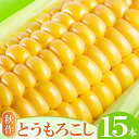 【ふるさと納税】 先行予約 秋作 朝採れ とうもろこし 15本 早期予約 期間限定 季節限定 お土産 野菜 トウモロコシ バーベキュー スープ やさい