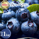 【ふるさと納税】ブルーベリー 朝採れ 1kg 果物 くだもの フルーツ ぶるーべりー 生食 新鮮 季節限定 期間限定 冷蔵 お取り寄せ