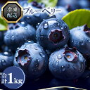 【ふるさと納税】ブルーベリー ぶるーべりー 冷凍 1kg 果物 くだもの フルーツ 季節限定 期間限定 お取り寄せ