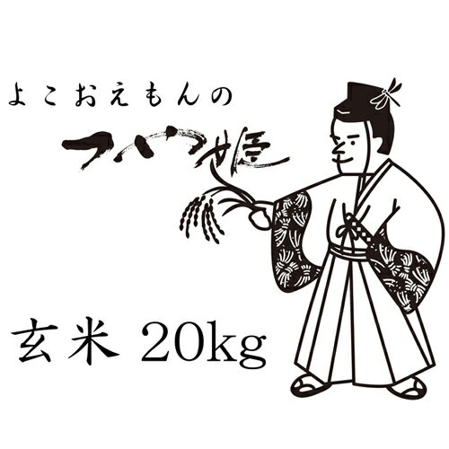 【ふるさと納税】特別栽培米 横尾衛門のつや姫 玄米 20kg 1袋 島根県 益田市 二条 産地直送 つや姫 ご飯 弁当 おにぎり 昼食 特産品 ブランド米 お米 お取り寄せ B-744