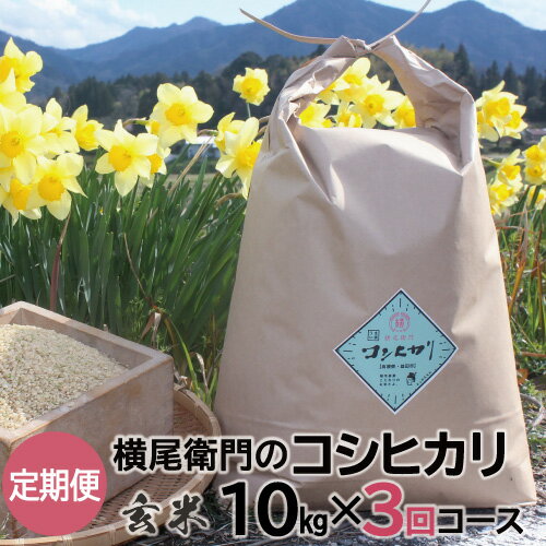 米・雑穀, 玄米 C-733 10kg3