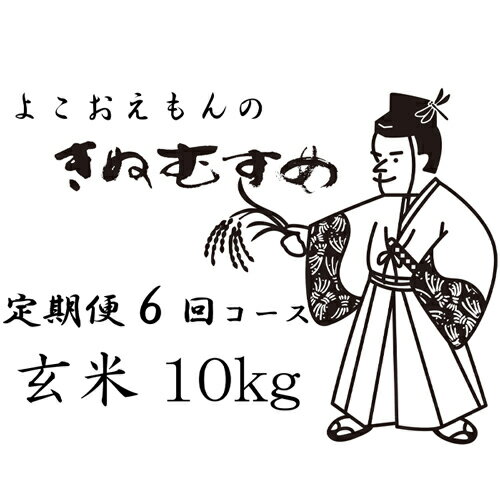 【ふるさと納税】【定期便】横尾衛門のきぬむすめ 玄米 10kg×6回 コース 6ヵ月 毎月お届け 島根県 益田市 二条 産地直送 きぬむすめ ご飯 弁当 おにぎり 朝食 特産品 ブランド米 こだわり お米 お取り寄せ D-719