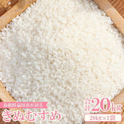 令和5年産 2023年産 横尾衛門のきぬむすめ 白米 20kg 1袋 精米 産地直送 きぬむすめ ご飯 弁当 おにぎり 朝食 特産品 ブランド米 こだわり お米 お取り寄せ