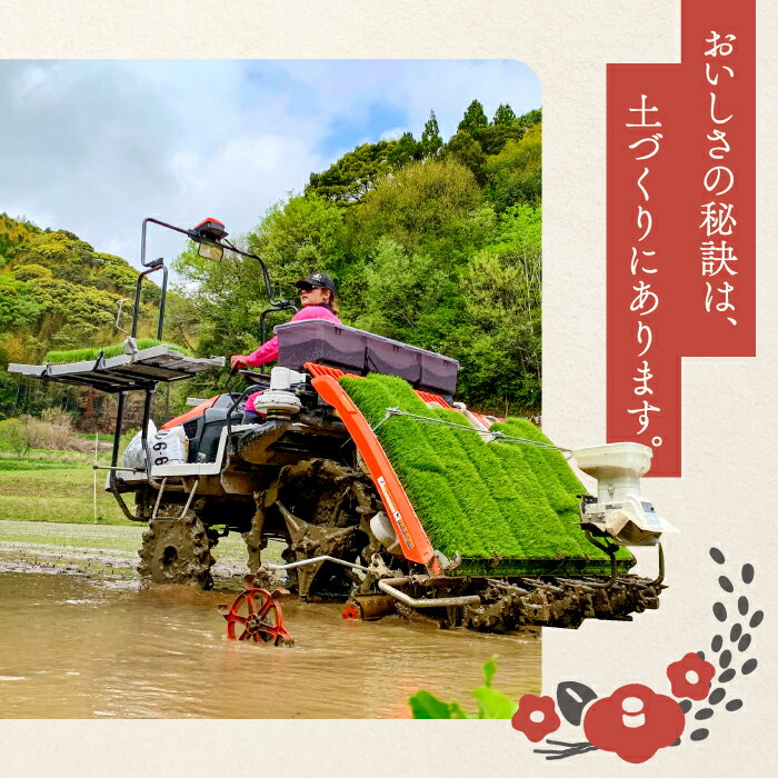 【ふるさと納税】 横尾衛門のコシヒカリ 白米 20kg 1袋 特別栽培米 精米 産地直送 こしひかり ご飯 弁当 おにぎり 夕食 定番 特産品 ブランド米 お米 お取り寄せ 3