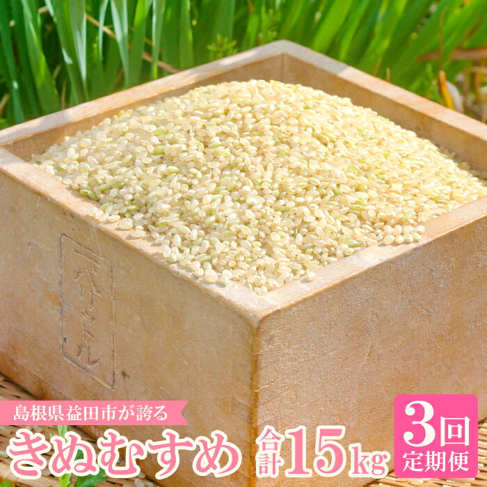 [定期便] 横尾衛門のきぬむすめ 玄米 5kg×3回 産地直送 きぬむすめ ご飯 弁当 おにぎり 朝食 特産品 ブランド米 こだわり お米 お取り寄せ 3ヵ月 毎月お届け コース