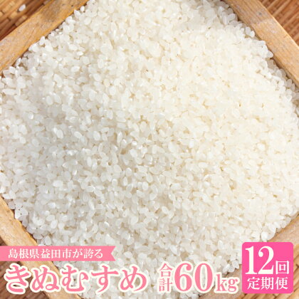 令和5年産 2023年産 定期便 きぬむすめ 白米 5kg×12回 コース 12ヵ月 1年 定期 毎月お届け 産地直送 横尾衛門 精米 ご飯 弁当 おにぎり 特産品 ブランド米 絹娘 こだわり お米 お取り寄せ 12回定期