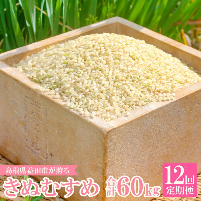 【ふるさと納税】 定期便 きぬむすめ 玄米 5kg×12回 コース 令和5年産 2023年産 12ヵ月 1年 定期 毎月お届け 産地直送 横尾衛門 ご飯 弁当 おにぎり 特産品 ブランド米 絹娘 こだわり お米 お取り寄せ 12回定期