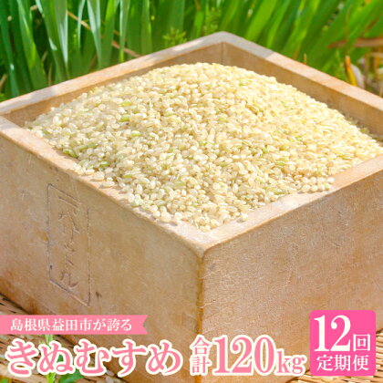 定期便 きぬむすめ 玄米 10kg×12回 コース 令和5年産 2023年産 12ヵ月 1年 定期 毎月お届け 産地直送 横尾衛門 ご飯 弁当 おにぎり 特産品 ブランド米 絹娘 こだわり お米 お取り寄せ 12回定期