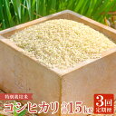 7位! 口コミ数「0件」評価「0」 【定期便】横尾衛門のコシヒカリ 玄米 5kg×3回 コース 3ヵ月 毎月お届け 特別栽培米 精米 産地直送 こしひかり ご飯 弁当 おにぎ･･･ 