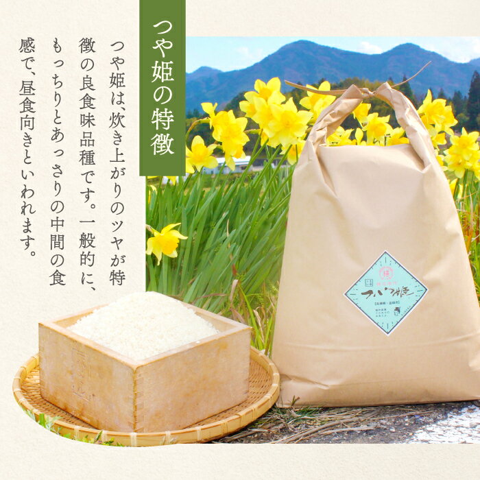 【ふるさと納税】【定期便】【新米】特別栽培米 横尾衛門のつや姫 白米 10kg×6回 コース 6ヵ月 毎月お届け 精米 産地直送 つや姫 ご飯 弁当 おにぎり 昼食 特産品 ブランド米 お米 お取り寄せ