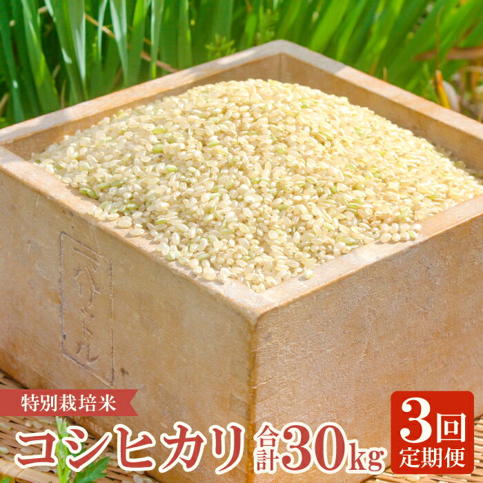 23位! 口コミ数「0件」評価「0」 【定期便】横尾衛門のコシヒカリ 玄米 10kg×3回 コース 3ヵ月 毎月お届け 特別栽培米 精米 産地直送 こしひかり ご飯 弁当 おに･･･ 