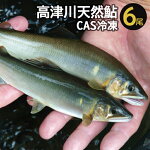 【ふるさと納税】A-258高津川天然鮎『CAS冷凍』3尾/袋×2（300g）