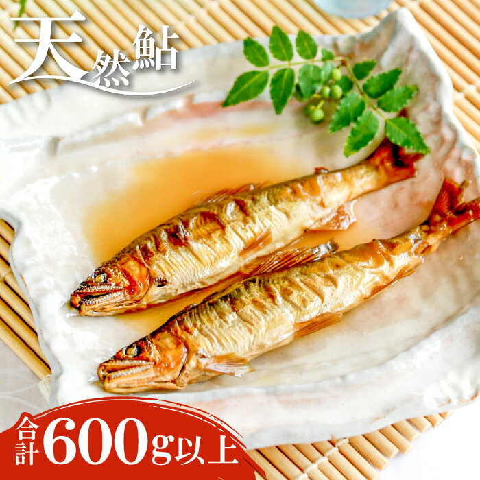 18位! 口コミ数「1件」評価「5」 天然鮎 600g 200g×3 魚介類 魚 アユ 天然 CAS冷凍 高津川 塩焼き みそ焼き 天ぷら 鮎飯 季節限定 冷凍 特産品 お取り･･･ 