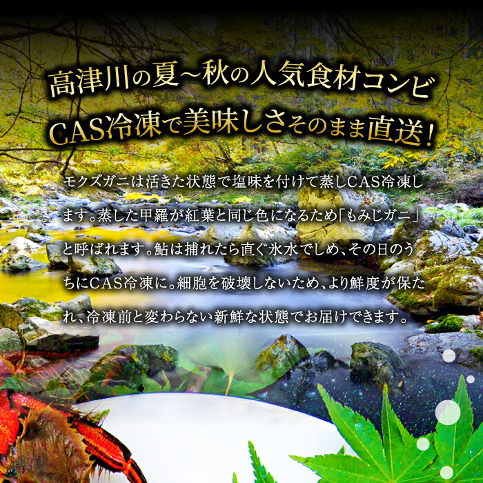 【ふるさと納税】 先行予約 天然鮎 600g もみじガニ 6匹 オス・メス1対×3袋 魚介類 魚 甲殻類 アユ カニ モクズガニ 天然 高津川 塩焼き みそ焼き 天ぷら 鮎飯 湯煎 簡単 季節限定 2023年8月中旬〜2024年2月末発送 冷凍 特産品 お取り寄せ グルメ