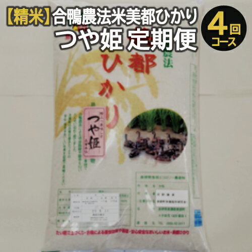 【ふるさと納税】 【精米】4回定期 令和4年産 新米 美都ひかり つや姫 2kg×4...