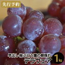 商品画像3