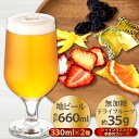 【ふるさと納税】 地ビール クラフトビール 2種 益田マスカ