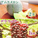 【ふるさと納税】 糖度14度以上 アムスメロン 秀品 2玉 デラウェア 1kg (5〜6房) セット 先行予約 メロン 早期予約 季節限定 期間限定 果物 フル...