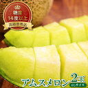 【ふるさと納税】 糖度14度以上 アムスメロン 高級 赤秀品 2玉 先行予約 メロン 早期予約 季節限定 期間限定 果物 フルーツ くだもの アムス お土産 プ...