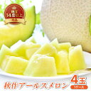 【ふるさと納税】 アールスメロン 秀品 4玉 1ケース 先行予約 果物 フルーツ メロン 糖度14度以上 秋作 季節限定 期間限定 早期予約 10月上旬〜10月...