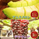 【ふるさと納税】アムスメロン 糖度14度以上 秀品 1玉 デラウェア 3房 セット ギフトBOX 先行予約 果物 くだもの フルーツ ブドウ ぶどう 葡萄 メロ...