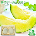 【ふるさと納税】 アールスメロン 秀品 2玉 先行予約 果物 フルーツ メロン 夏作 季節限定 期間限定 特産品 贈答品 お取り寄せ ギフト グルメ