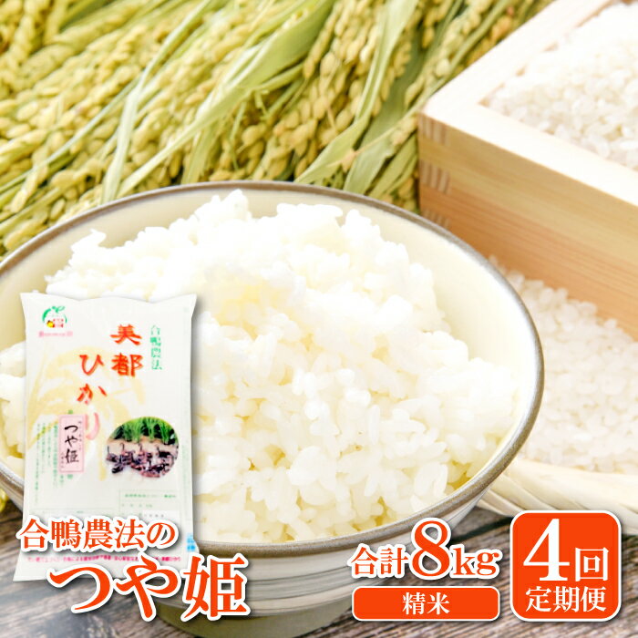 20位! 口コミ数「0件」評価「0」 【精米】4回定期 美都ひかり つや姫 2kg×4回 合計8kg 5つ星お米マイスター推薦 合鴨農法米 米 お米 白米 ブランド米 定期便 ･･･ 