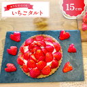 【ふるさと納税】 先行予約 いちごタルトキット 15cm 果物 デザート お菓子作り 美都いちご タルト ホイップクリーム 誕生日 記念日 お祝い クリスマス ...